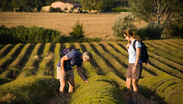 Wpvi-provence-walking-3